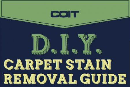 DIY Carpet Stain Removal Guide DIY Carpet Stain Removal Guide