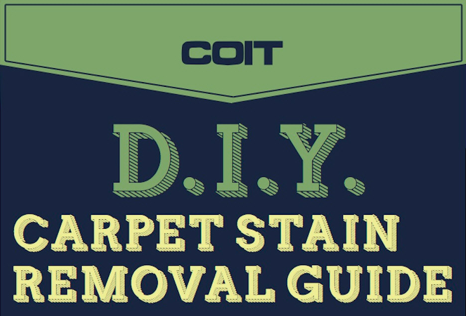 DIY Carpet Stain Removal Guide