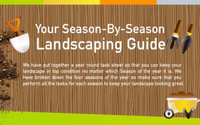 Season By Season Landscaping Guide