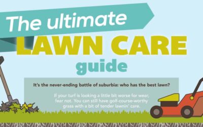 The Ultimate Lawn Care Guide