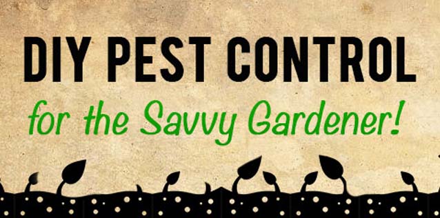 DIY Pest Control For The Savvy Gardener   Diy Garden Organic Pest Control Feat 