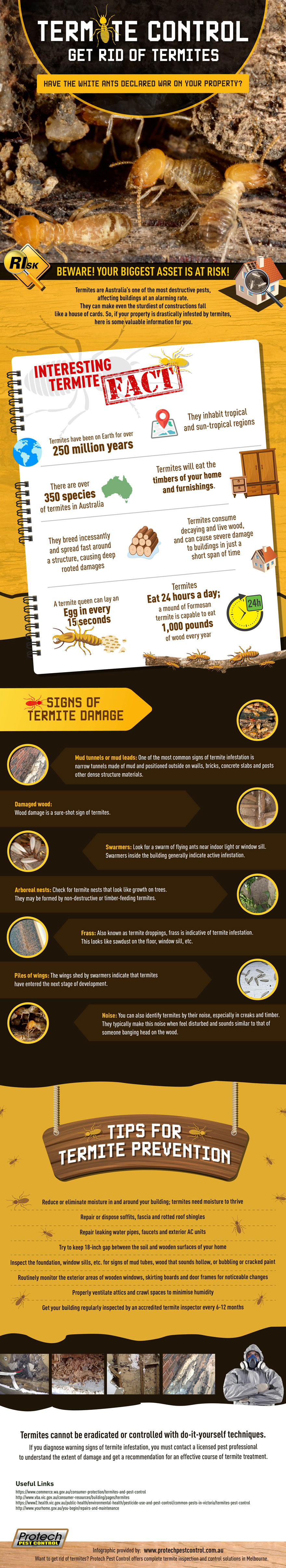 Termite Control: Get Rid of Termites