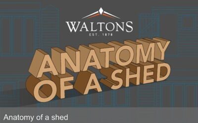 The Anatomy of a Shed