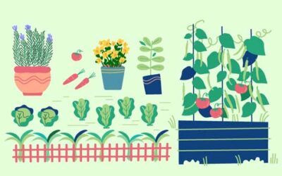 Planting Calendar: What To Plant & When