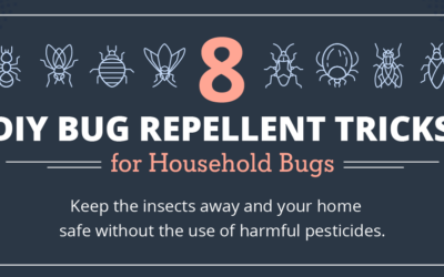 8 DIY Bug Repellent Tricks for Household Bugs
