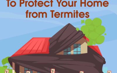 Top 10 Ways To Protect Your Home From Termites