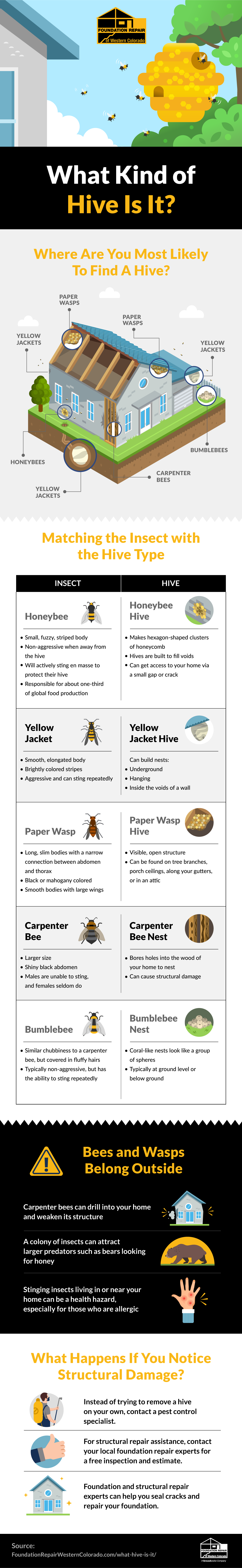Removing Bee and Wasp Hives From Your Home
